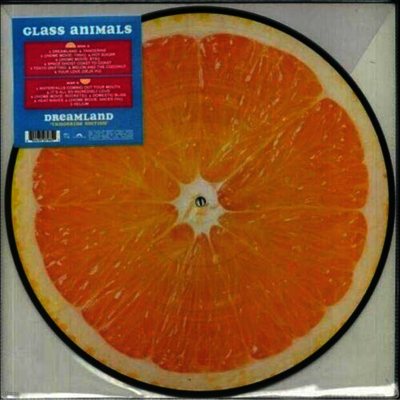 Glass Animals — Dreamland 앨범 커버
