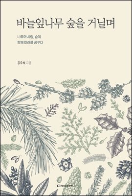 바늘잎나무 숲을 거닐며