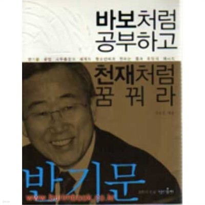 바보처럼 공부하고 천재처럼 꿈꿔라 반기문