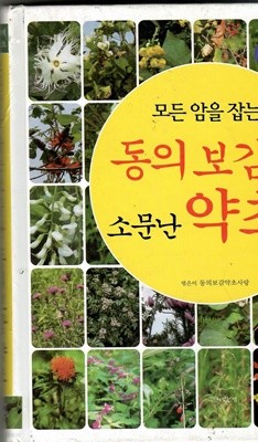 모든 암을 잡는 동의 보감 소문난 약초 