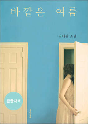 문학동네 바깥은 여름 (큰글자책)