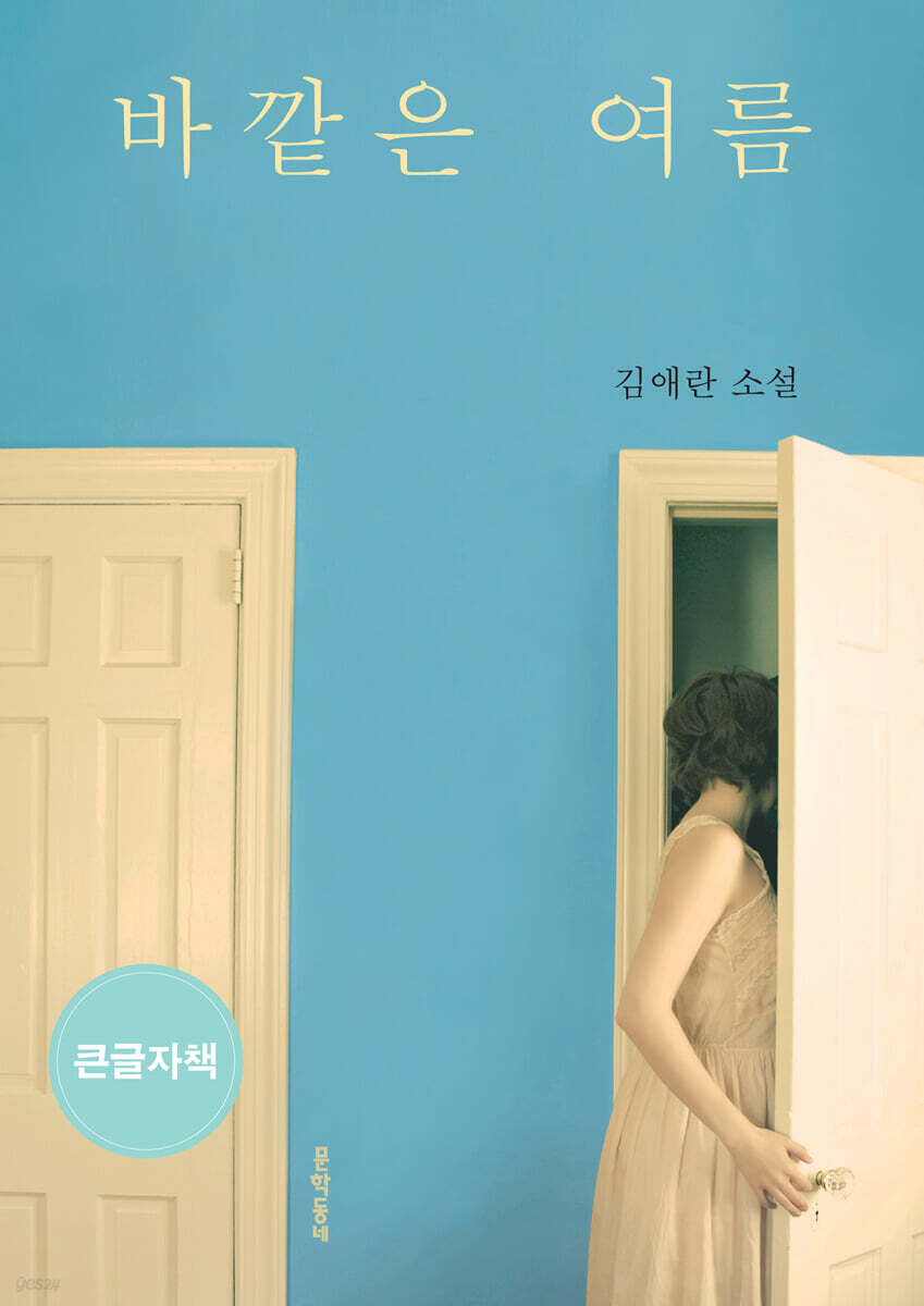 바깥은 여름 (큰글자책)