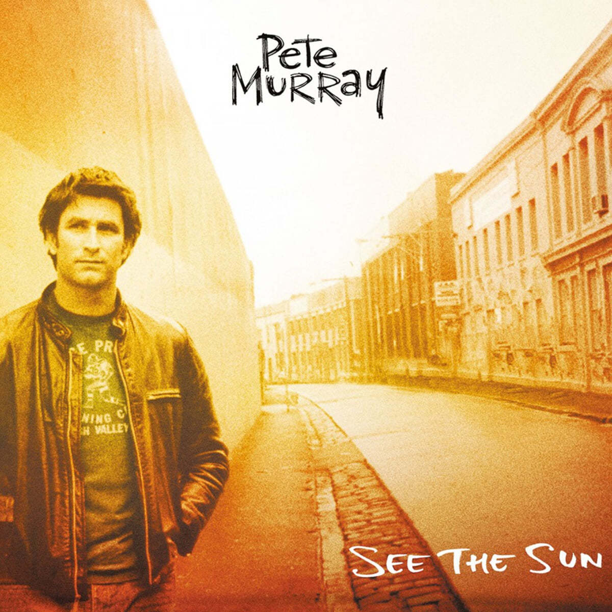 Pete Murray (피트 머레이) - 3집 See the Sun [썬 컬러 LP] 