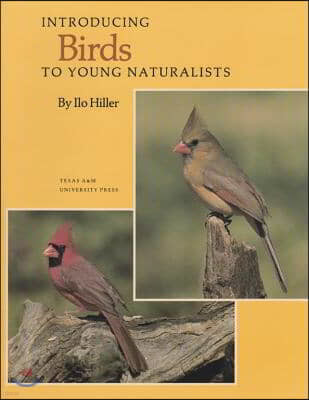 Introducing Birds to Young Naturalists: From Texas Parks and Wildlife Magazine