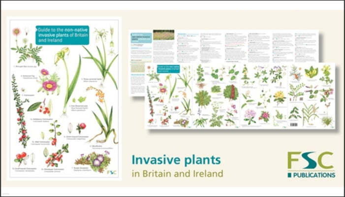 Guide to the non-native invasive plants of Britain and Ireland