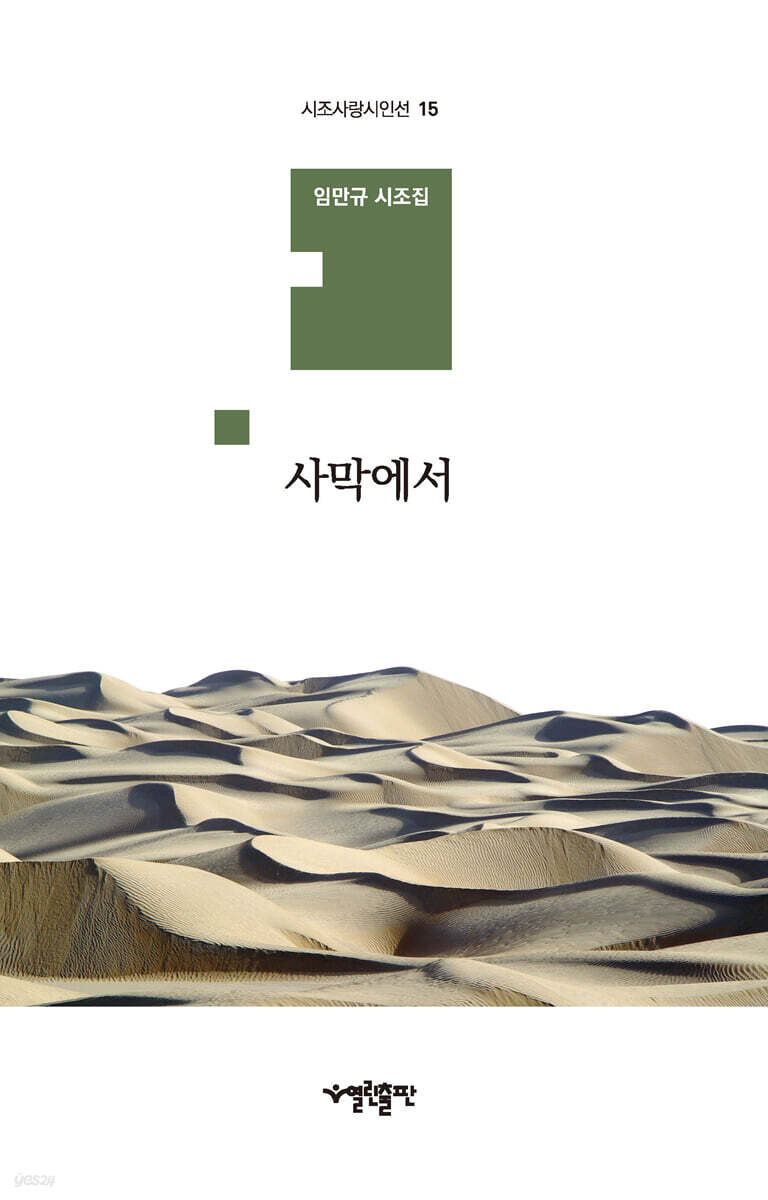 사막에서