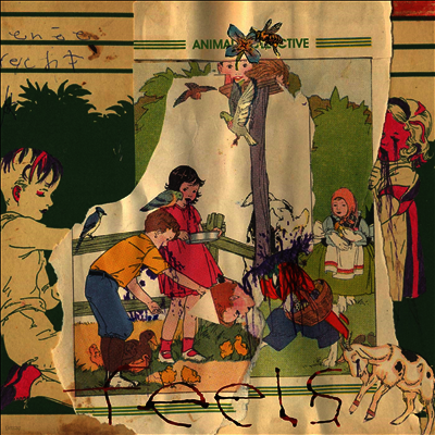 Animal Collective — Feels 앨범 커버