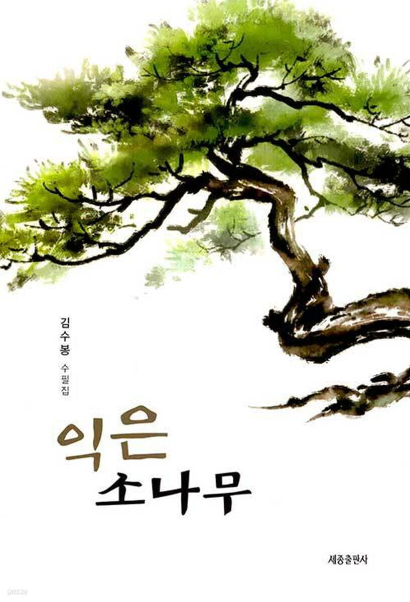 익은 소나무
