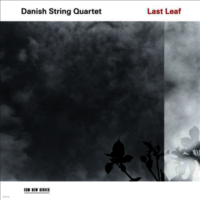 Danish String Quartet — 덴마크 현악 사중주단 - 현악 사중주 편곡 작품집 (Danish String Quartet - Last Leaf) - Danish String Quartet 앨범 커버