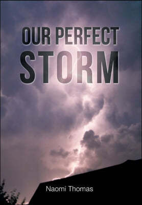 Our Perfect Storm