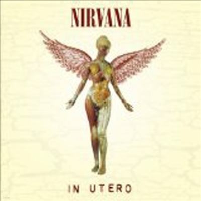 Nirvana - In Utero (20th Anniversary Edition)(CD)