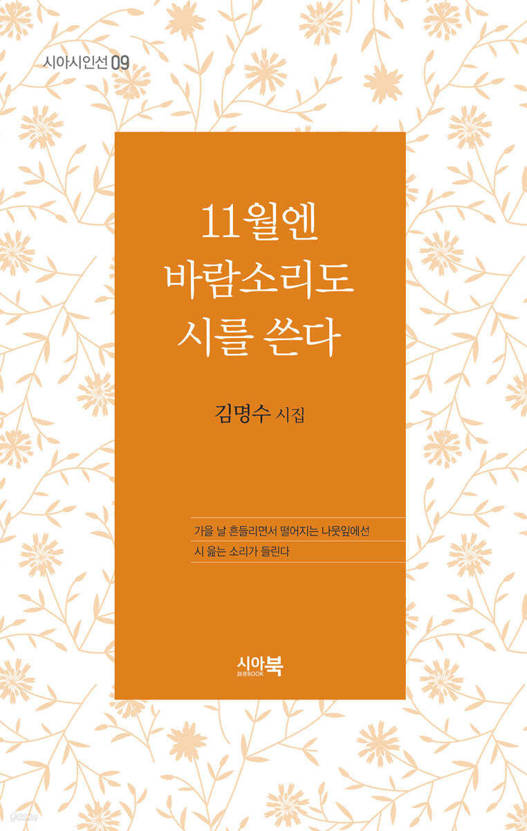 11월엔 바람소리도 시를 쓴다