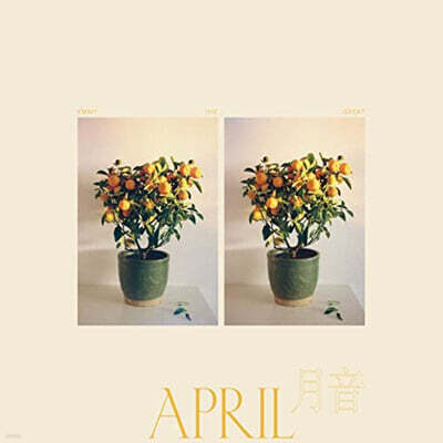 Emmy the Great — 4집 April / 月音 앨범 커버