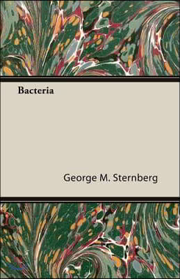 Bacteria