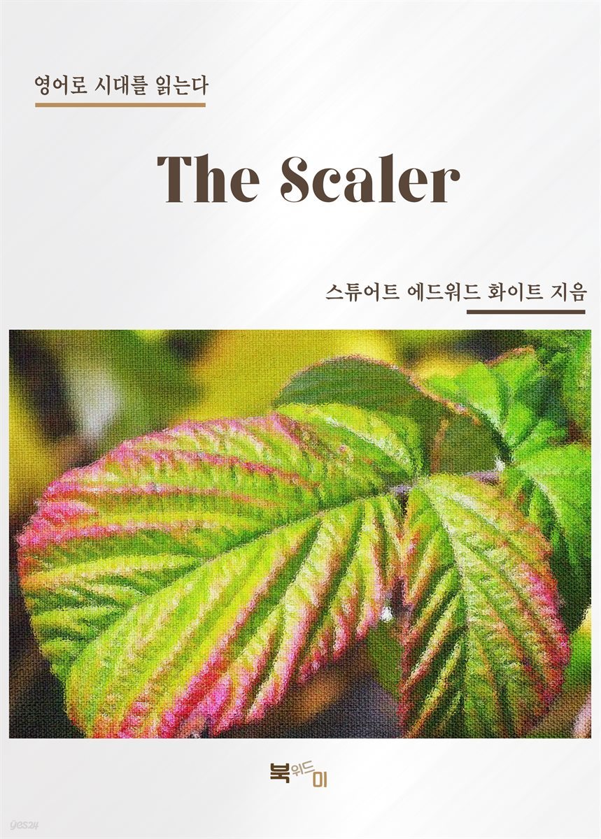 The Scaler