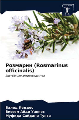 ٬ެѬڬ (Rosmarinus officinalis)
