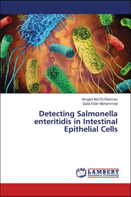 Detecting Salmonella enteritidis in Intestinal Epithelial Cells