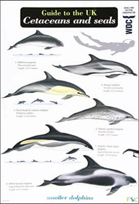 Guide to the UK Cetaceans and Seals