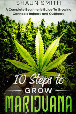 10 Steps to Grow Marijuana
