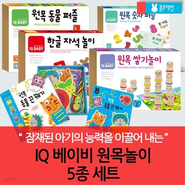 IQ 베이비 원목놀이 5종세트