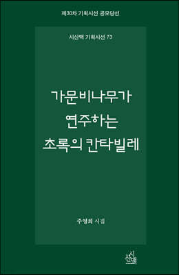 가문비나무가 연주하는 초록의 칸타빌레