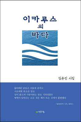 이카루스의 바다