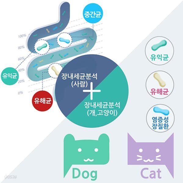 장내세균검사(사람)&amp;반려동물(개/고양이) 유해균,유익균