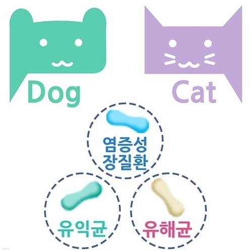 장내세균검사 반려동물(개/고양이) 유해균,유익...