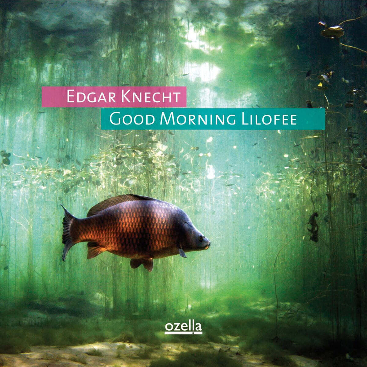 Edgar Knecht (에드가 크네히트) - Good Morning Lilofee [LP]