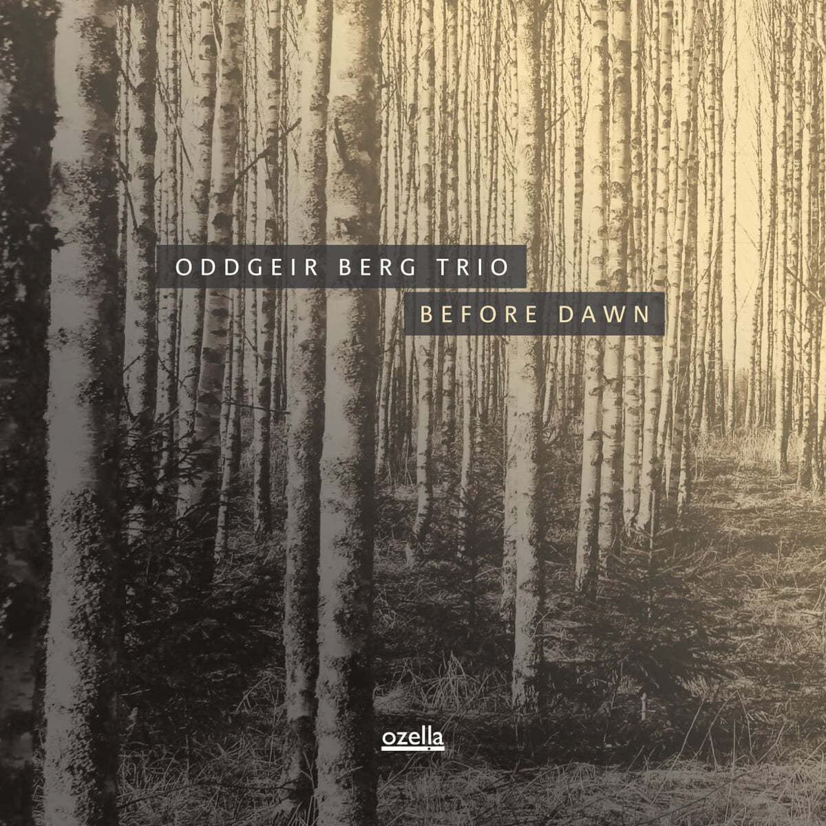 Oddgeir Berg Trio  (오드게이르 베르그 트리오) - 1집 Before Dawn [LP]