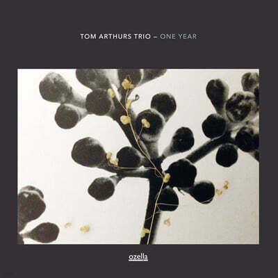 Tom Arthurs Trio — One Year 앨범 커버