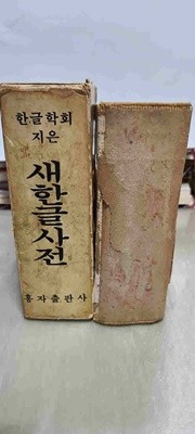 한글학회 지은/ 새 한글 사전