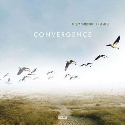 Vittorio Mezza / Ginsburg Ensemble — Convergence 앨범 커버