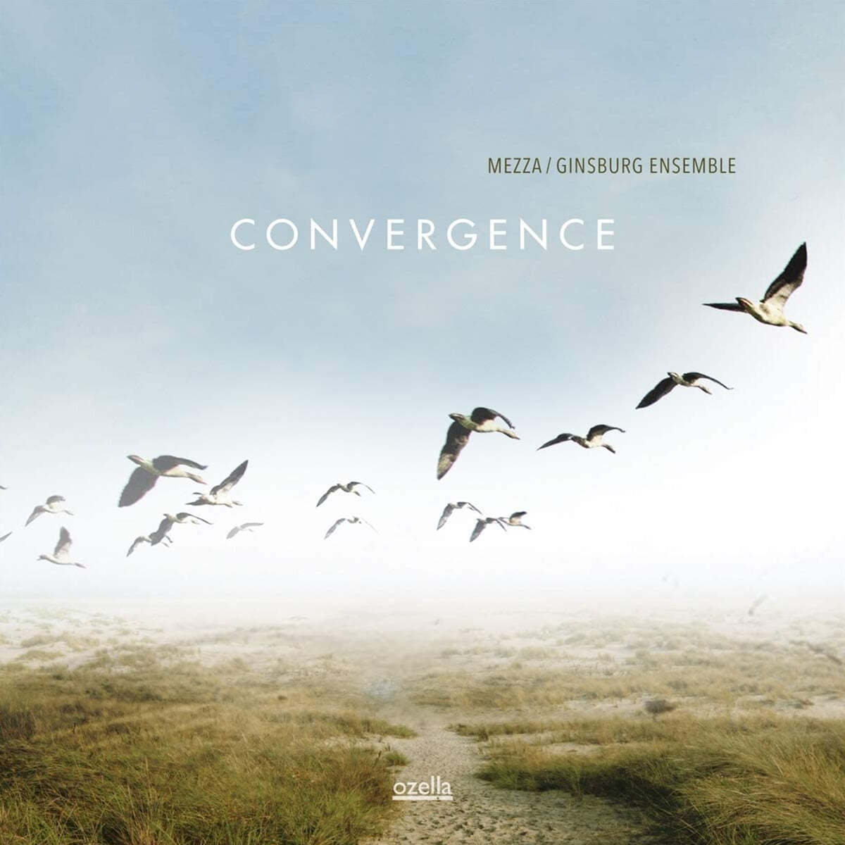 Vittorio Mezza / Ginsburg Ensemble (비토리오 메짜 / 긴즈버그 앙상블) - Convergence [LP] 
