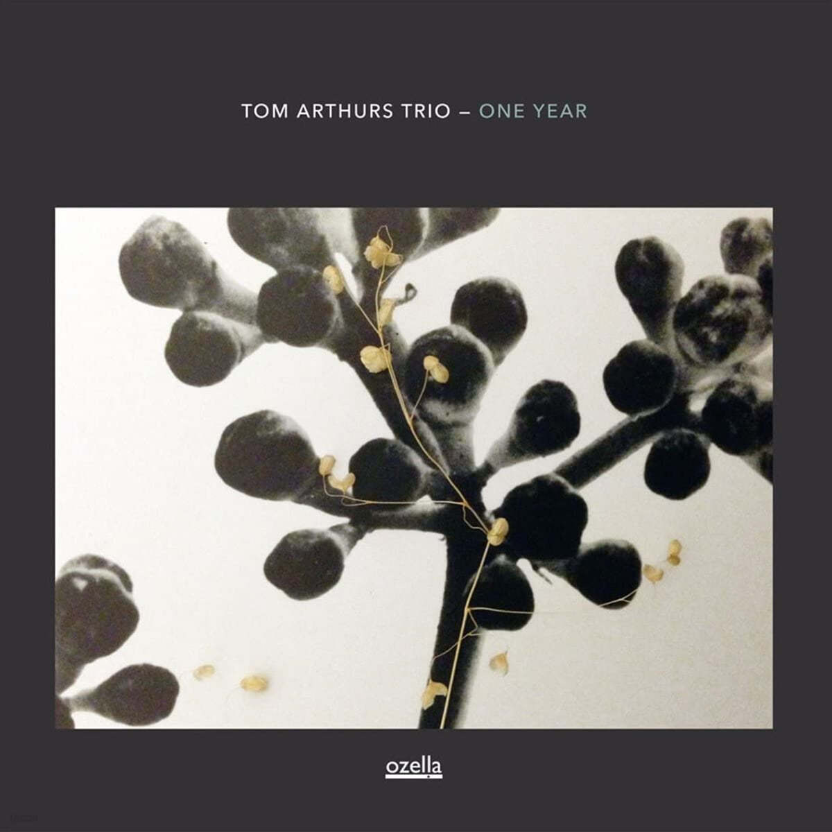 Tom Arthurs Trio (톰 아더스 트리오) - One Year