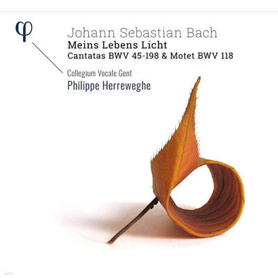 Philippe Herreweghe 바흐: 칸타타 45, 198번, 모테트 (J.S.Bach: Cantatas BWV45, BWV198, Motet BWV118) 