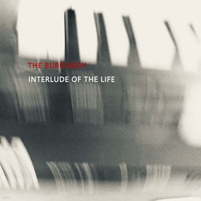 더 버건디 (The Burgundy) - 3집 INTERLUDE OF THE LIFE