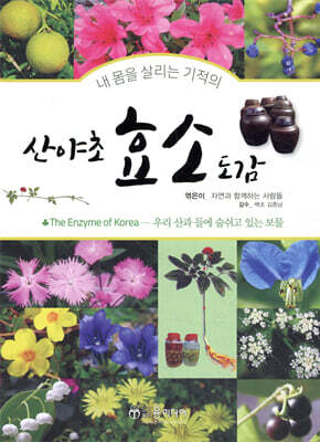 산야초 효소 도감