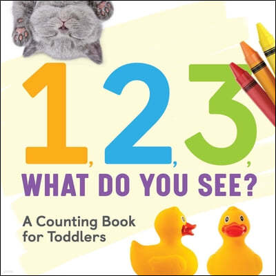 1, 2, 3, What Do You See?: A Counting Book for Toddlers