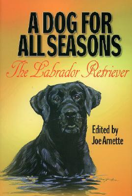 A Dog for All Seasons: A Tribute to the Labrador Retriever