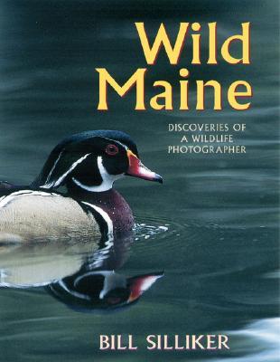 Wild Maine: Discoveries of a Wildlife Photographer