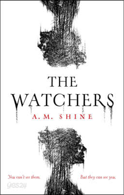 The Watchers: The Spine-Chilling Debut Gothic Horror Novel from A.M. Shine