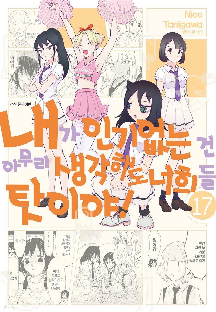 내가 인기 없는 건 아무리 생각해도 너희들 탓이야! 17권