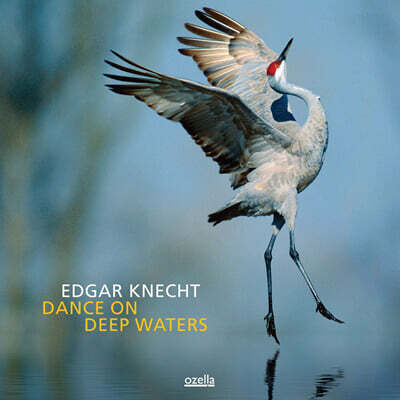Edgar Knecht — Dance On Deep Waters 앨범 커버