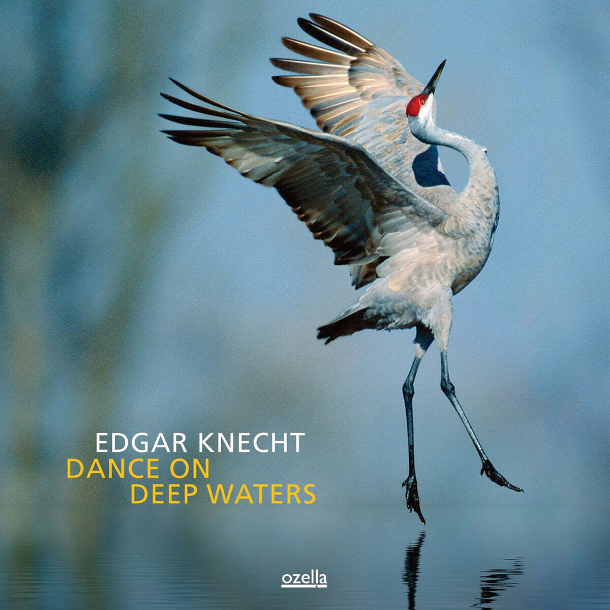 Edgar Knecht (에드가 크네히트) - Dance On Deep Waters [LP]