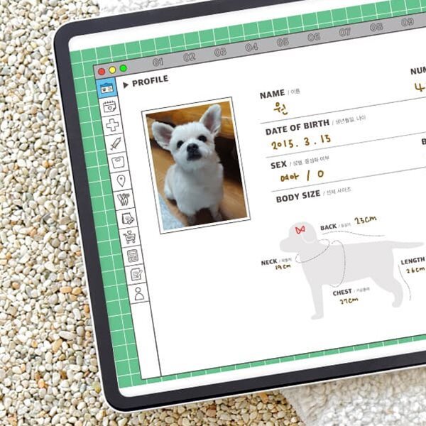 리훈 내가잘할개 애견 반려견 위클리 다이어리 굿노트 아이패드 PDF 속지