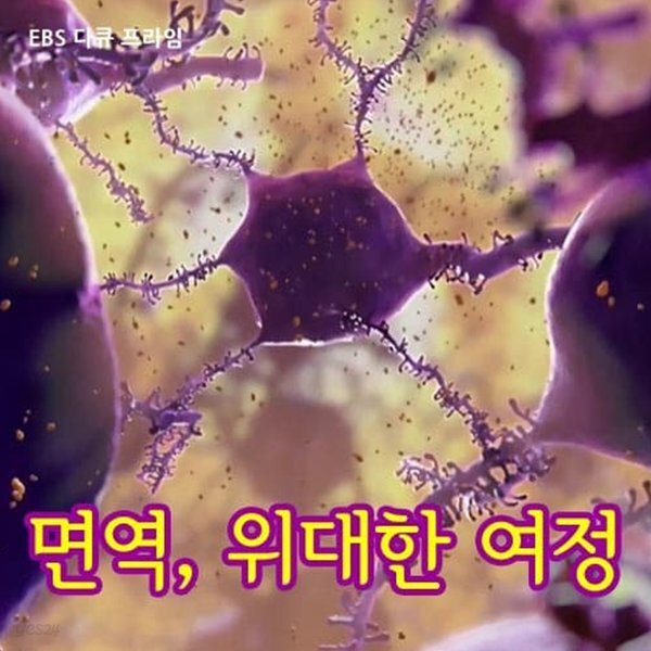 면역, 위대한 여정