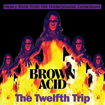 Various Artists - Brown Acid - The Twelfth Trip (CD)