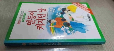 햇빛아동문고27/부처님 이야기/연등이 켜지던날