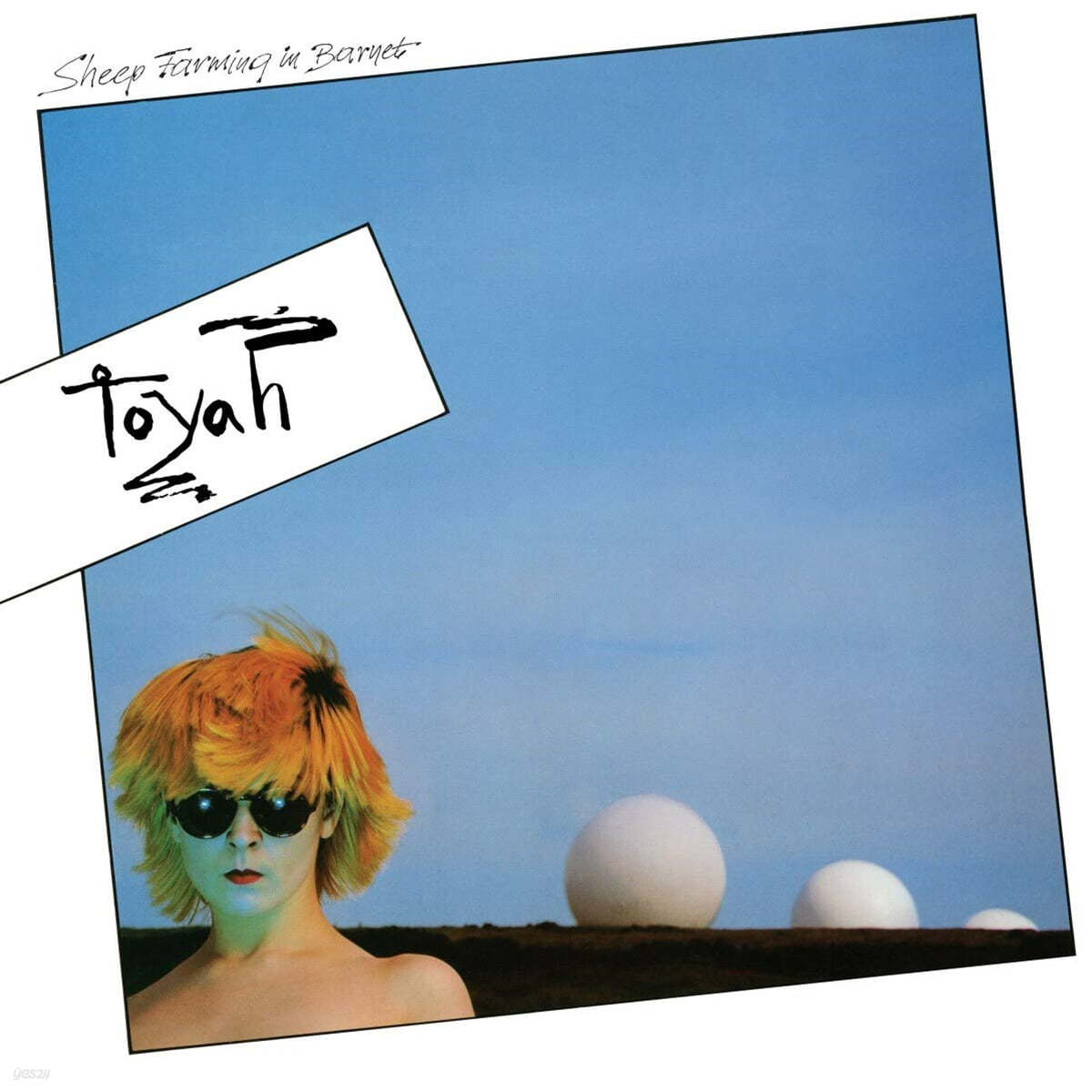 Toyah (토야) - Sheep Farming In Barnet [LP]